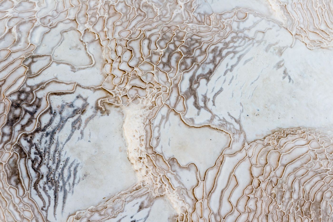 Close-up of a marble slab with white and brown veining