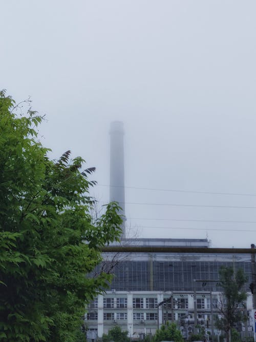 Gray Building Near Tree