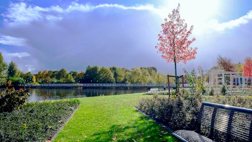 Ilmainen kuvapankkikuva tunnisteilla aurinkoinen, järvi, joki