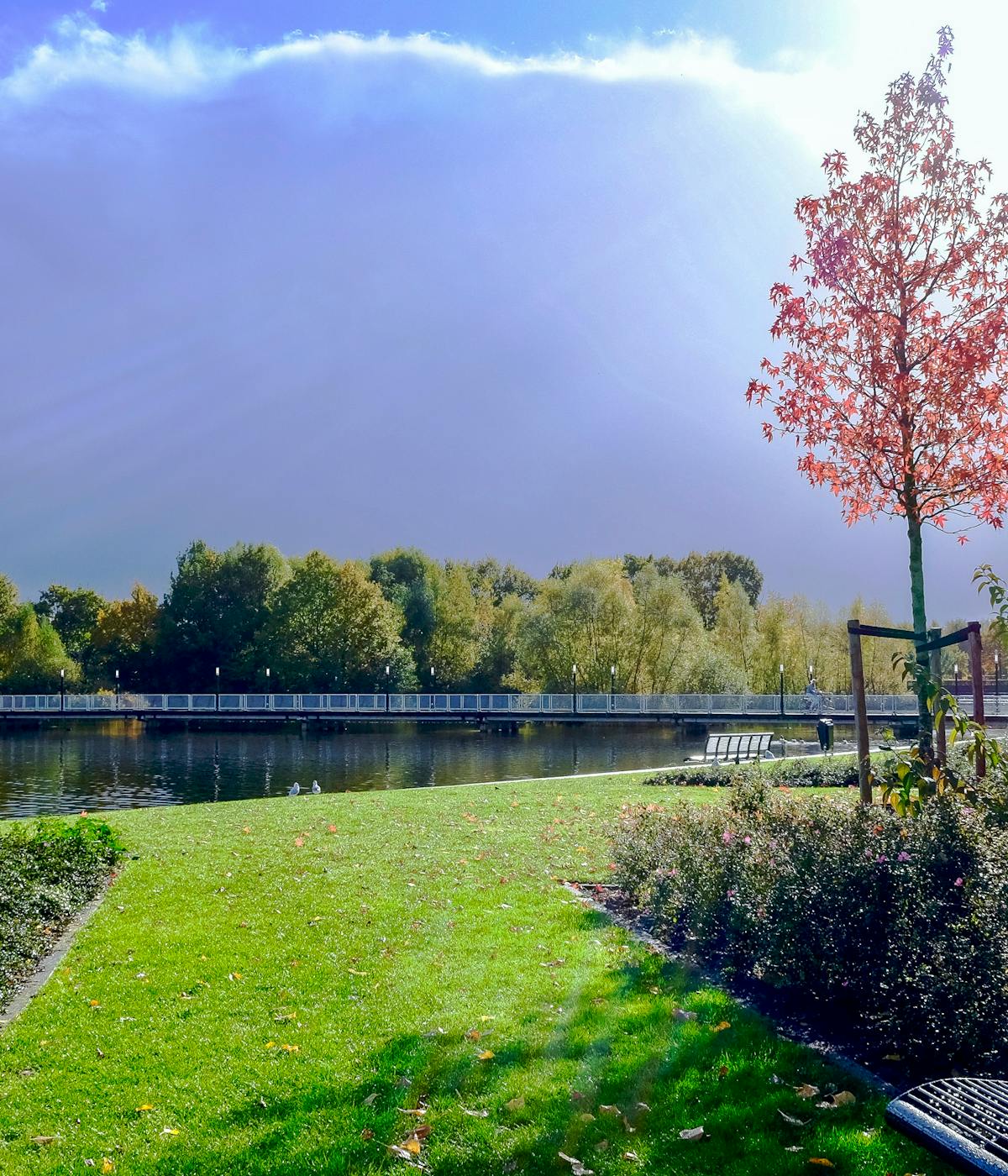 park