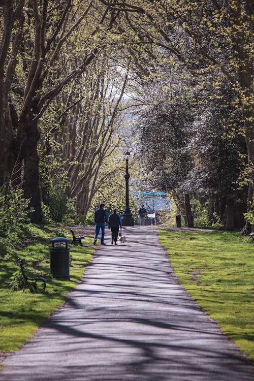 A couple of people walking down a path in the park