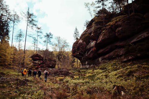 Foto stok gratis jerman, naturparkzittauergebirge, taman alam zittauer gebirge