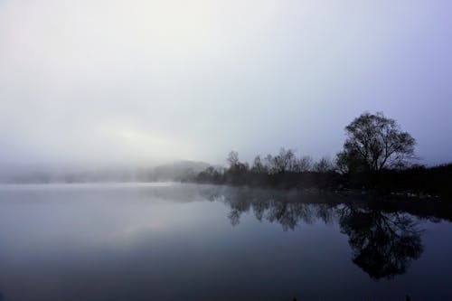 A foggy lake with trees and water