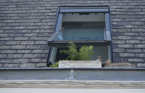 Velux Windows