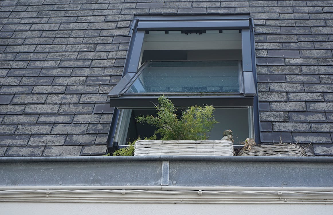window roof