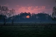 雾气弥漫的田野上，树木映衬着戏剧性的天空，呈现出一片宁静的日落景象