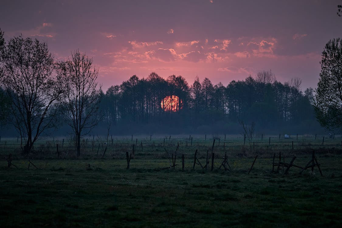 View Of Sunset Over Landscape