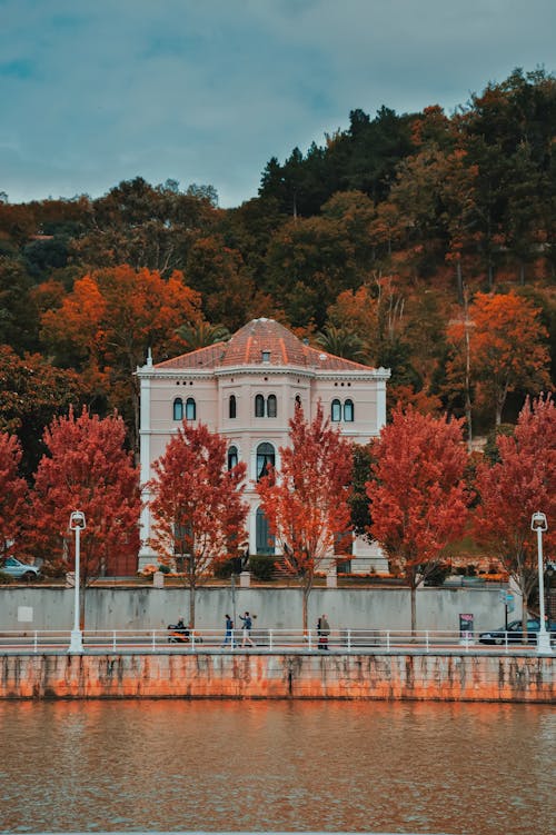 Gebäude Umgeben Von Herbstbäumen