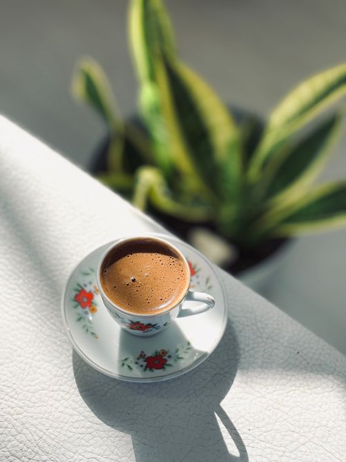 Free A floral coffee cup on a sunny table beside a green leafy plant, creating a serene atmosphere. Stock Photo