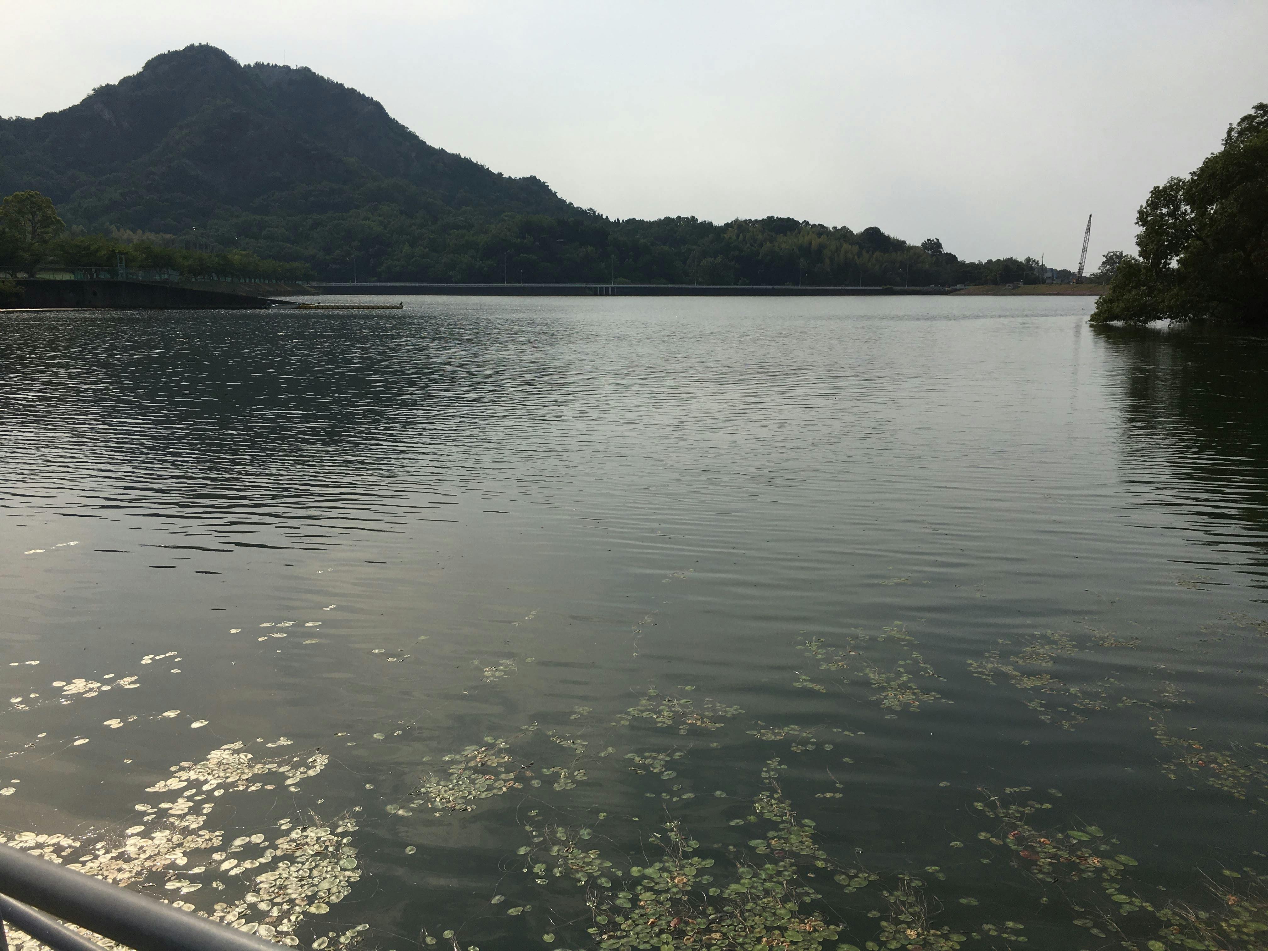 Đi đẻ cần mang theo những gì?