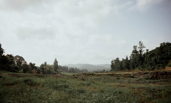 Expansive view of green fields and trees under a cloudy sky in Surat, India.