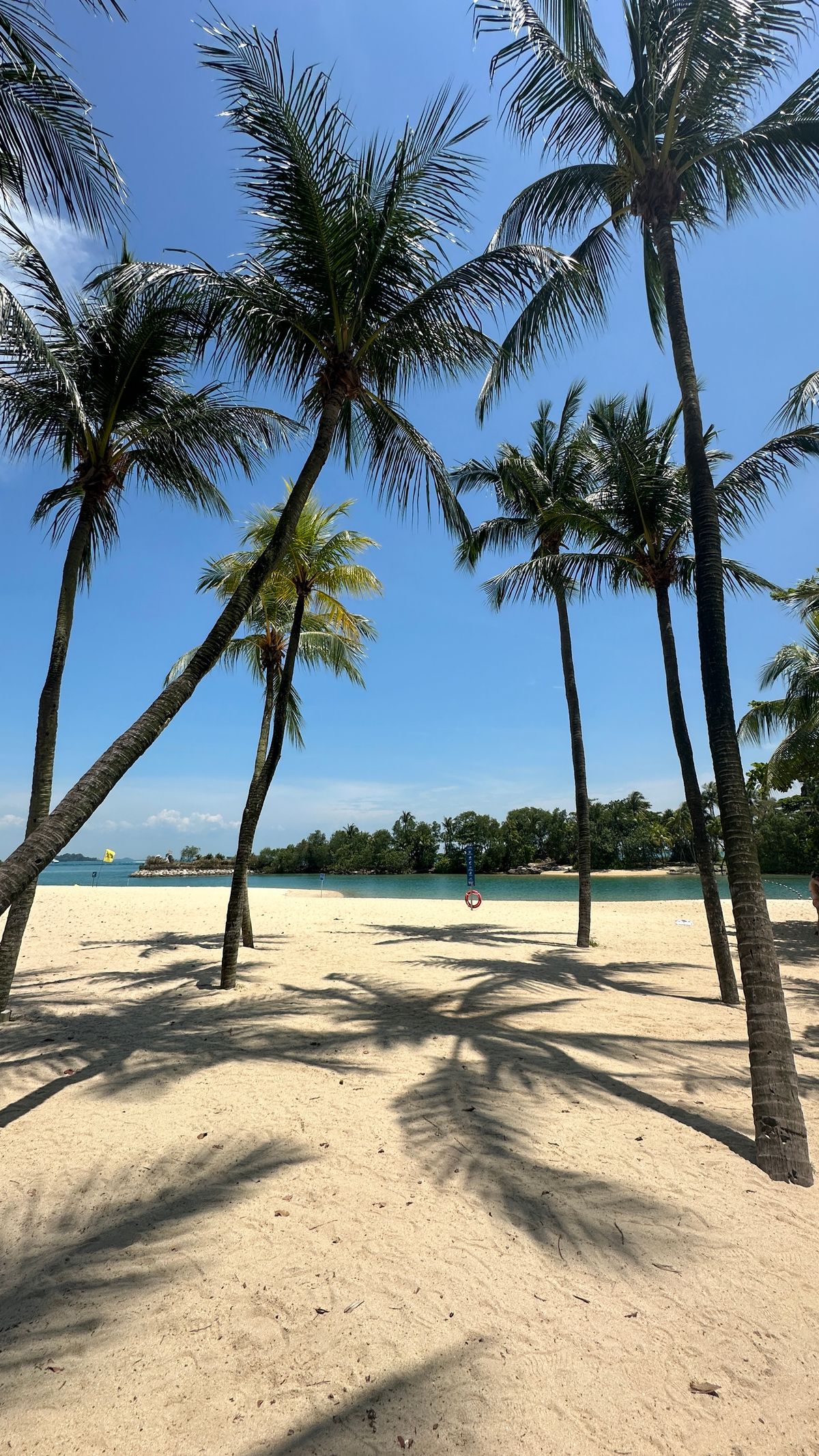 Singapore - Sentosa - plajă cu palmieri