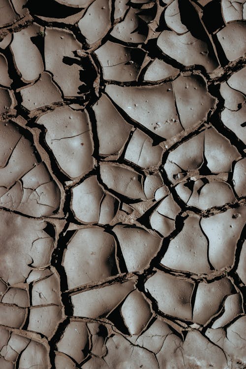A black and white photo of cracked earth