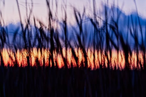 Free stock photo of 4k wallpaper, abstract nature, abstract sunrise