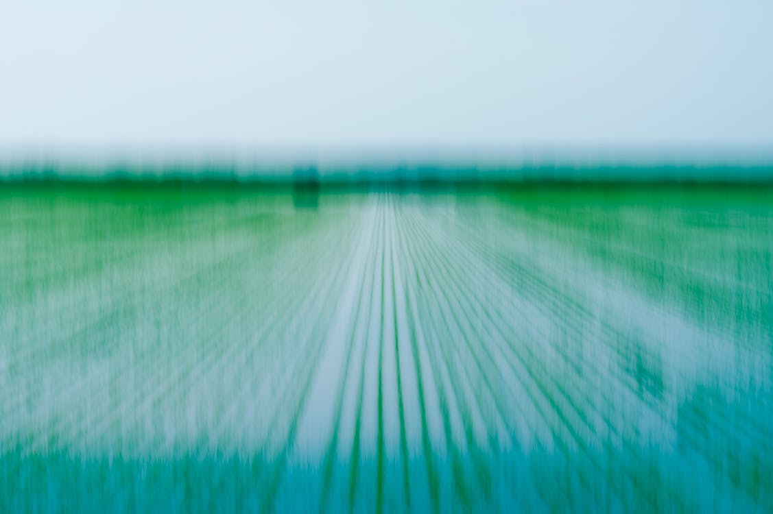 Darmowe zdjęcie z galerii z abstrakcyjna natura, abstrakcyjne pole ryżowe, abstrakcyjny zielony