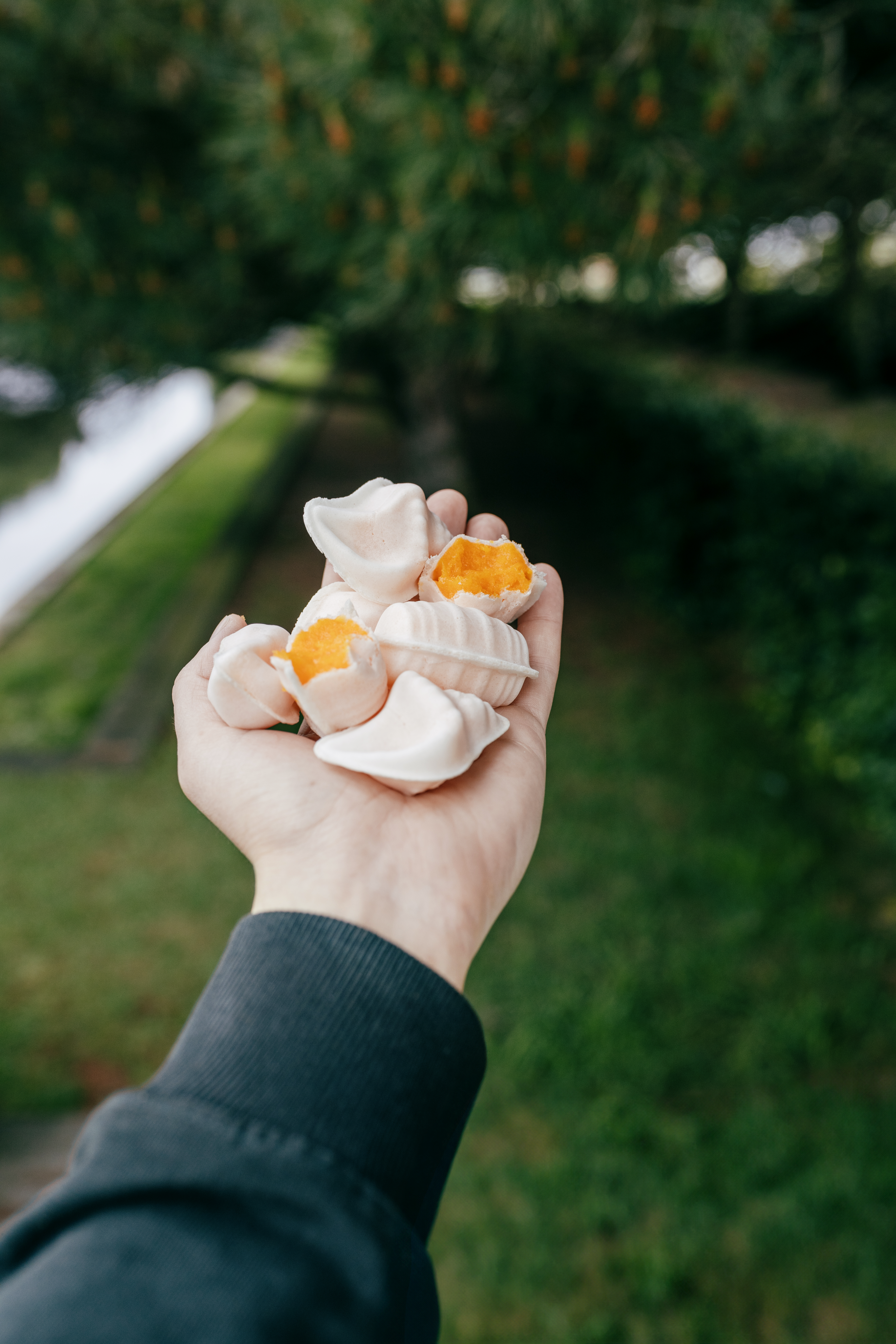 Close-up of a hand holding ovos moles, a traditional Portuguese dessert, outdoors in Aveiro.