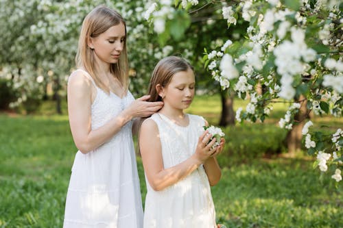 Gratis lagerfoto af æbletræ, barn, blomster