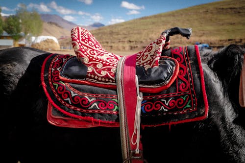 red saddle on the horse