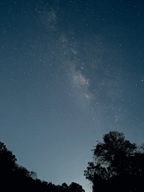 Foto d'estoc gratuïta de a l'aire lliure, arbre, astrofotografia