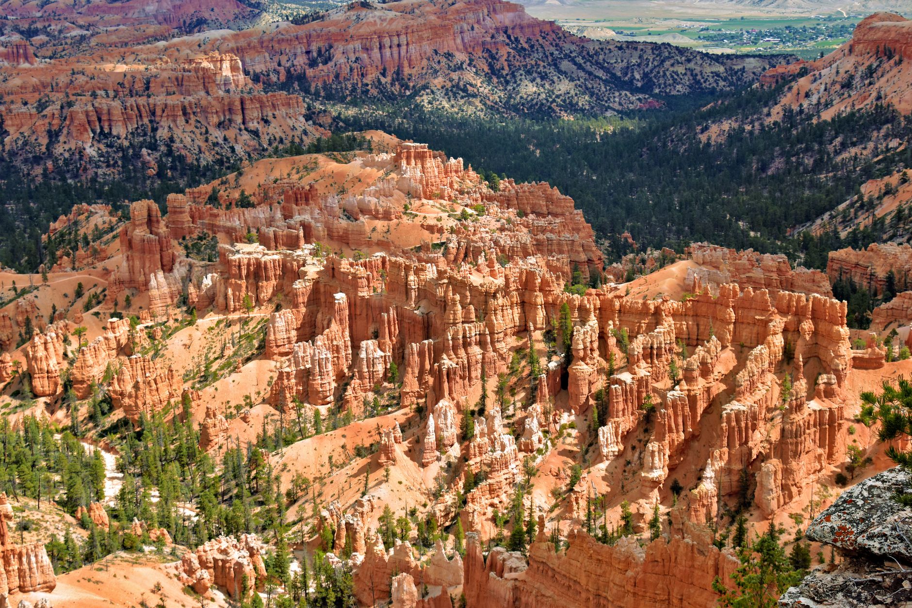 A breathtaking aerial view of Bryce Canyon's iconic hoodoos and lush forests.