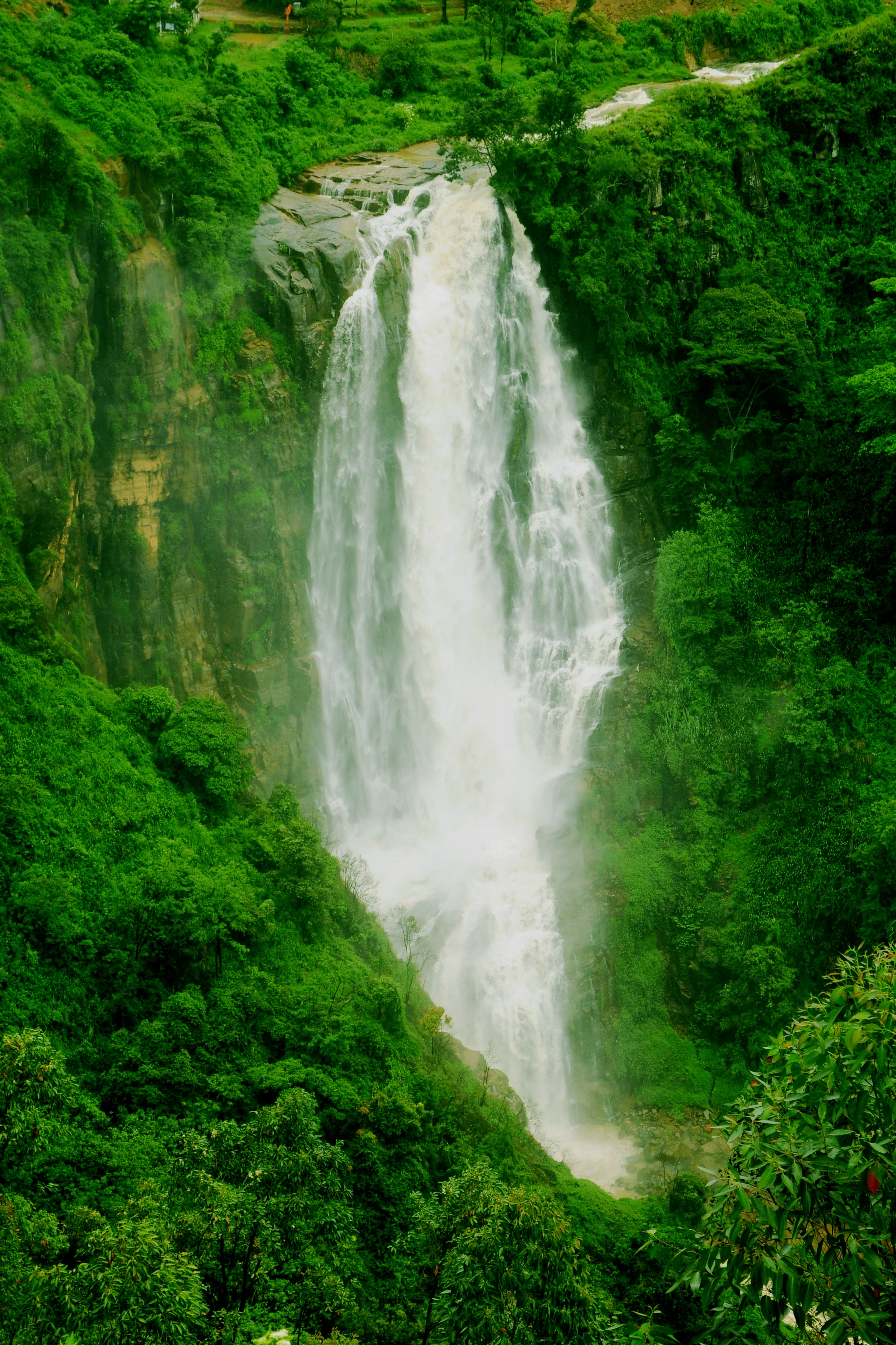 Breathtaking waterfall cascading through vibrant greenery in Nuwara Eliya, Sri Lanka.