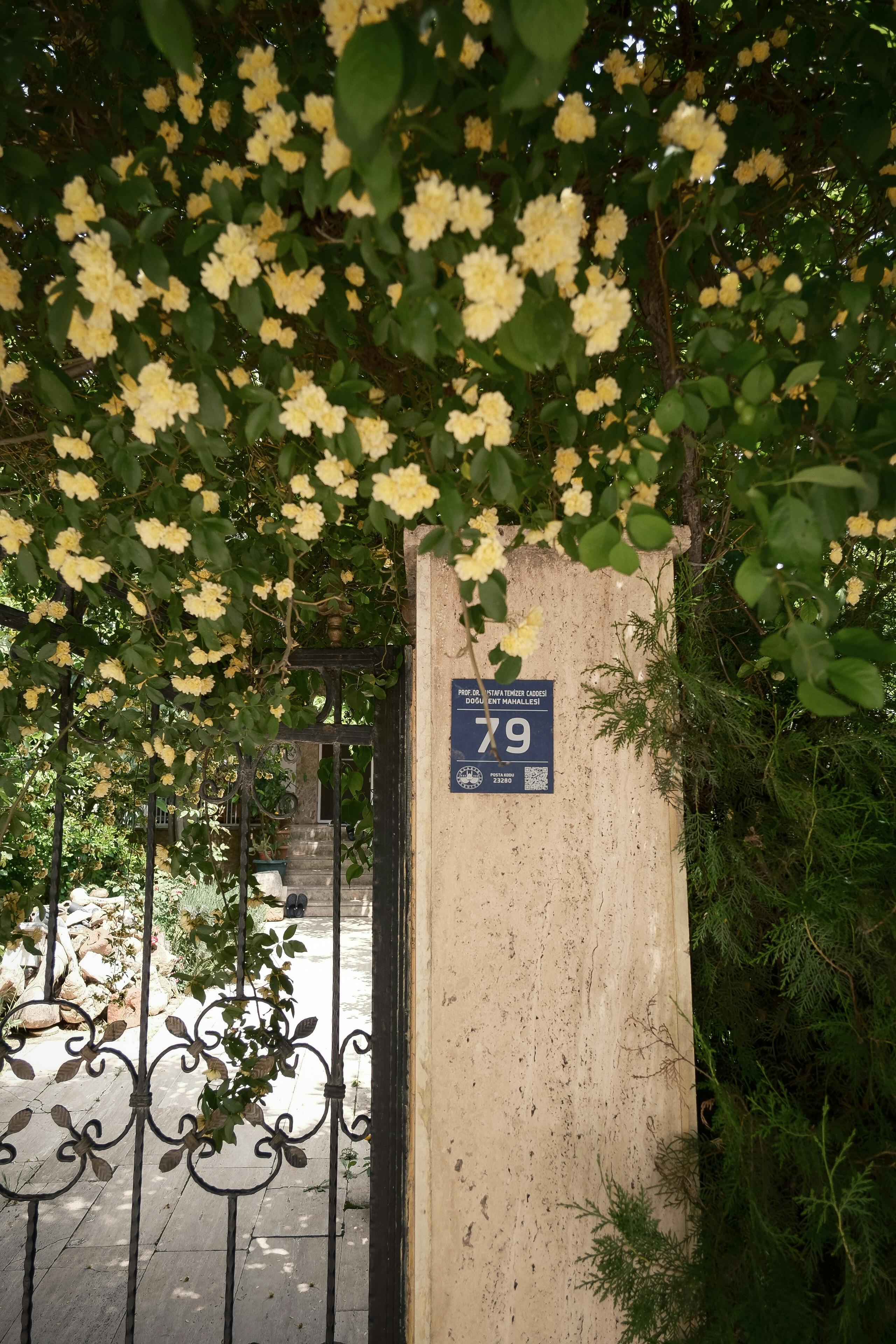 A rustic garden gate surrounded by vibrant yellow flowers, exuding serene charm.