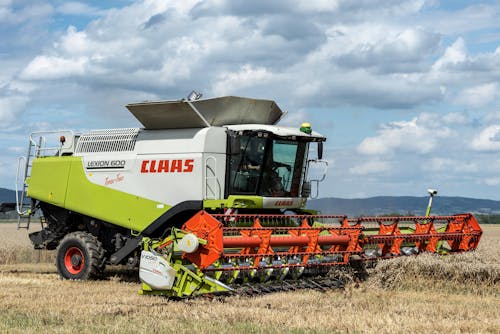 Imagine de stoc gratuită din agricultură, agronomie, anotimp