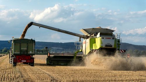 Free Combine harvester unloading grain into trailer in a rural field during harvest season. Stock Photo