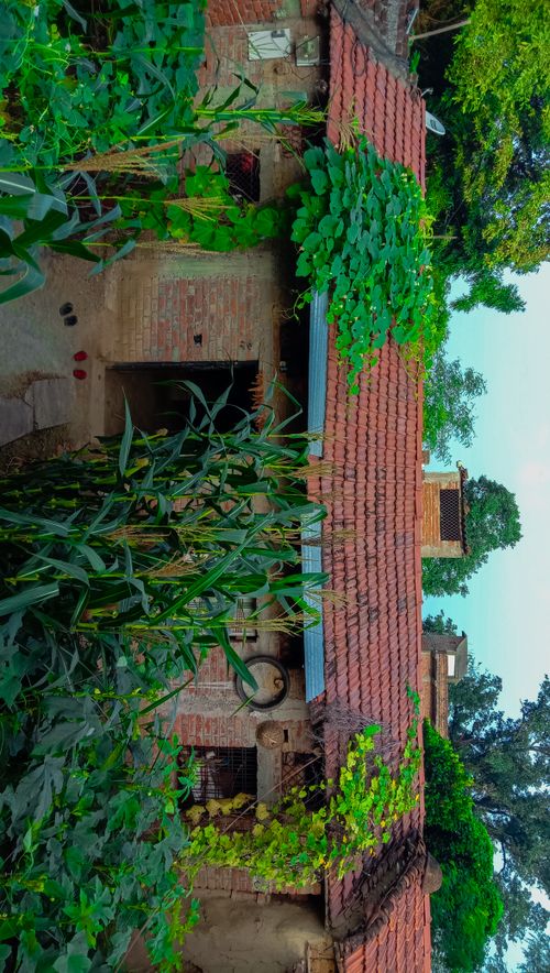 Free House in Village  Stock Photo