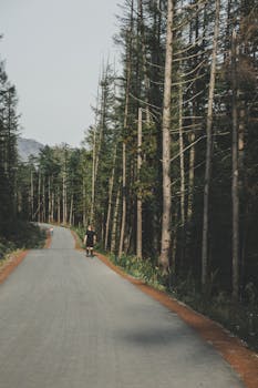 在宁静的森林道路上，滑冰者正享受着夏日户外时光