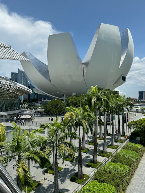 公園, 博物館, 商業 的 免费素材图片