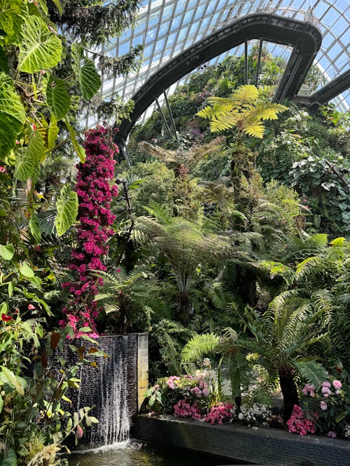 A tropical garden with a waterfall and plants