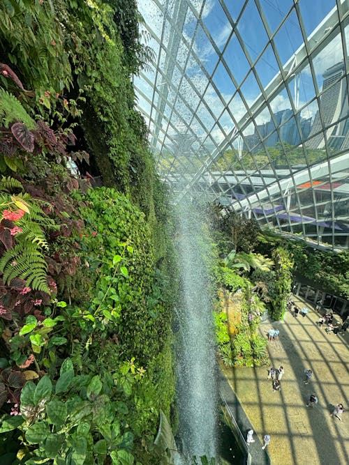 A waterfall in a glass dome with plants and trees