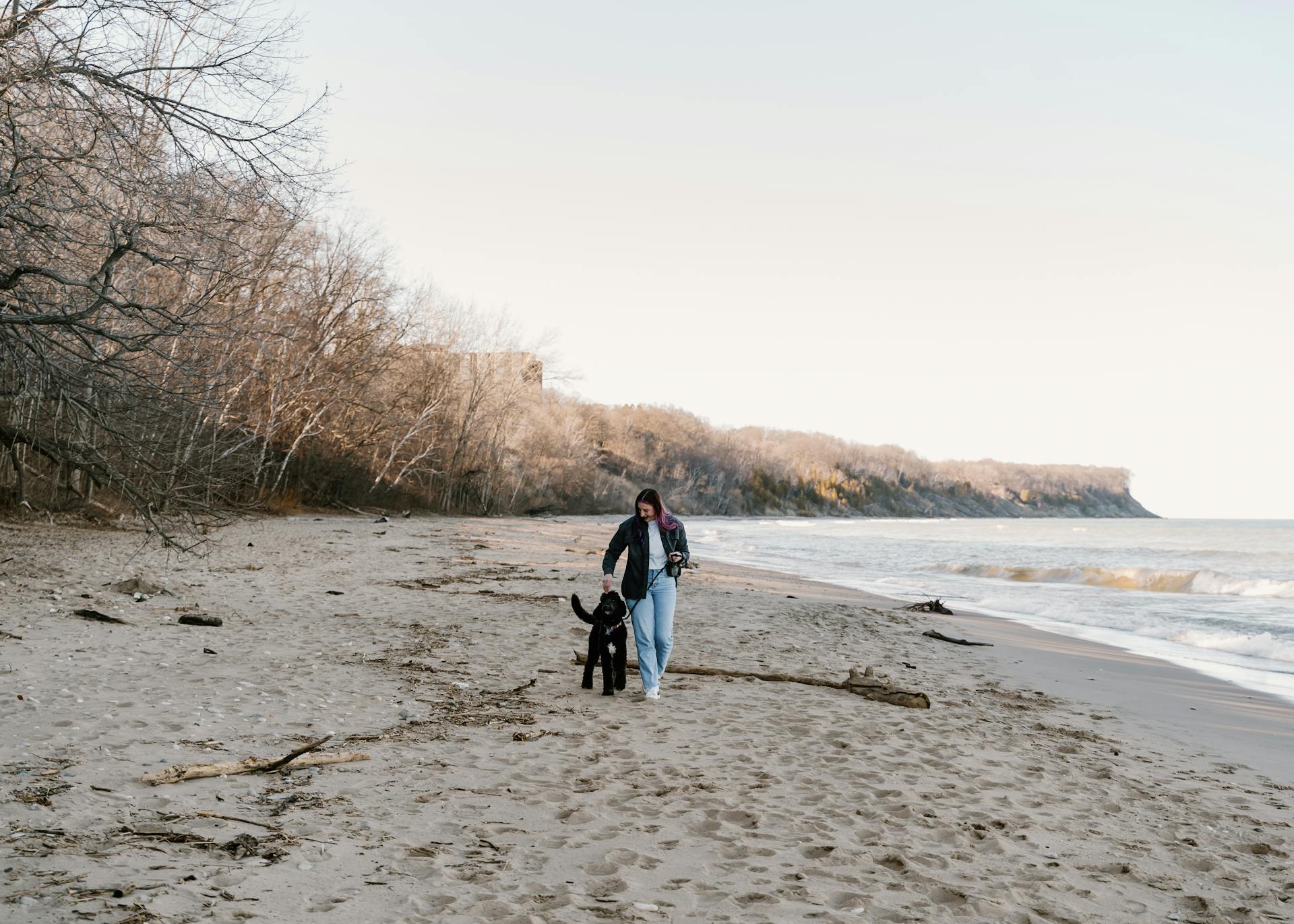 Woman Walking Dog on Beach