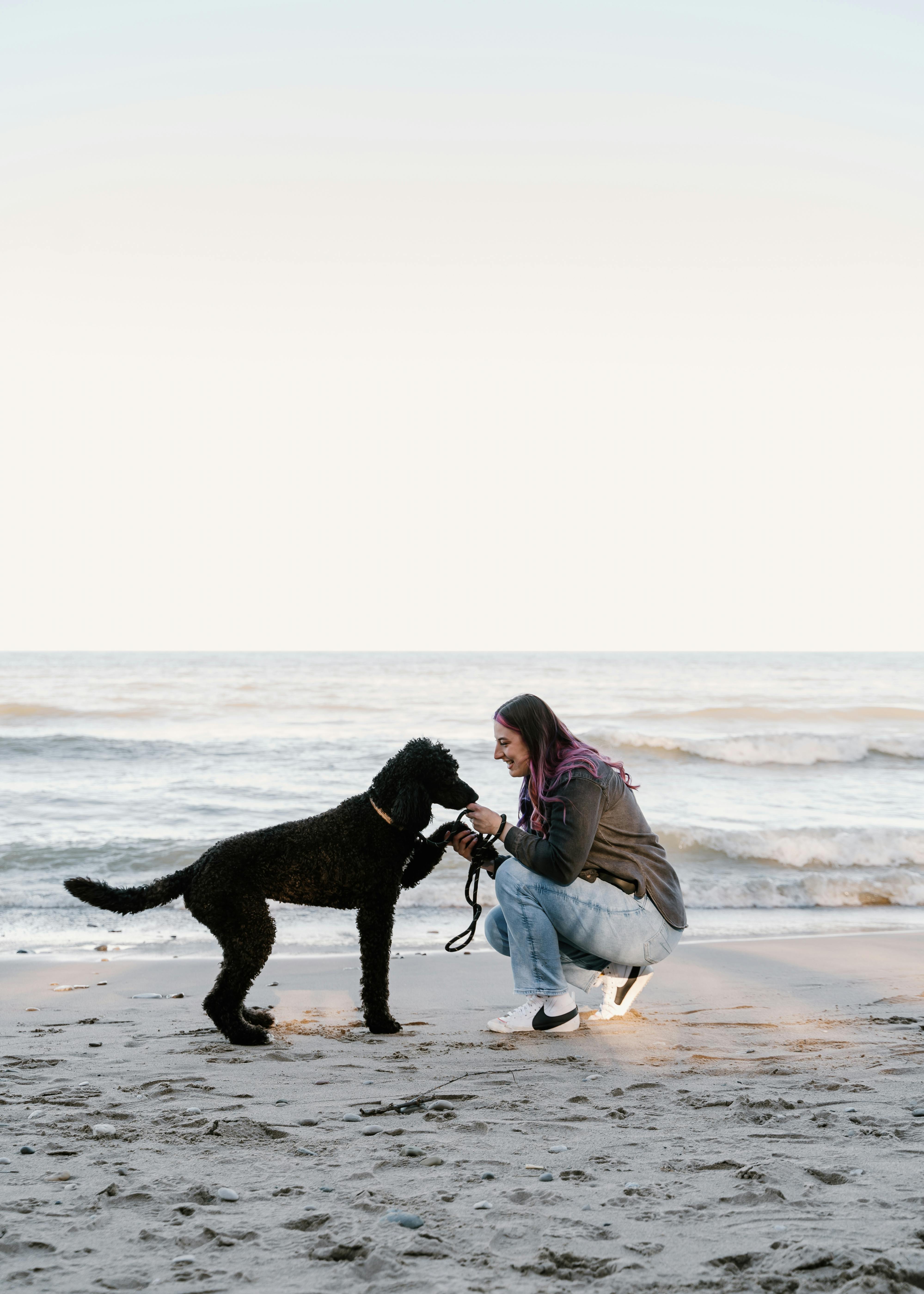 young woman crouching on a beach with her black poodle