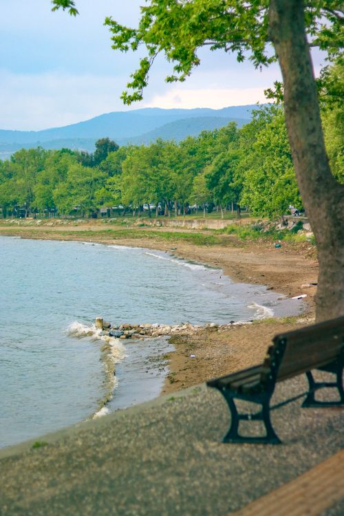 Free Tranquil lakeside view with an empty bench, surrounded by lush greenery and a serene waterscape. Stock Photo
