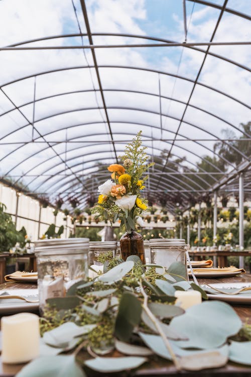 A table set up in a greenhouse with greenery