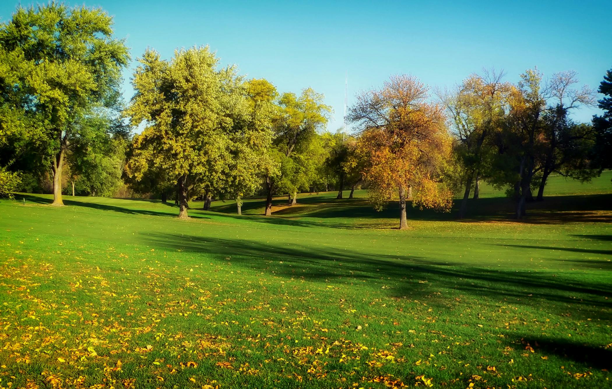 Park Photos · Pexels · Free Stock Photos