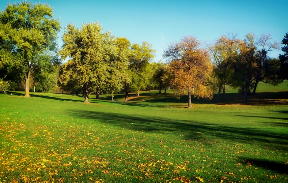 autumn, fall, golf