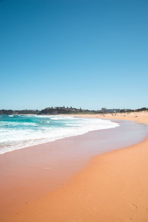 海岸の海の泡