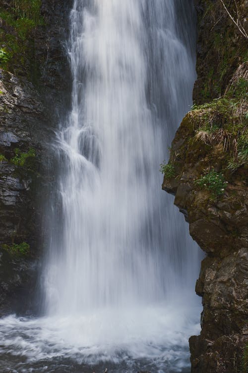 ブラックフォレストの森, 滝の無料の写真素材