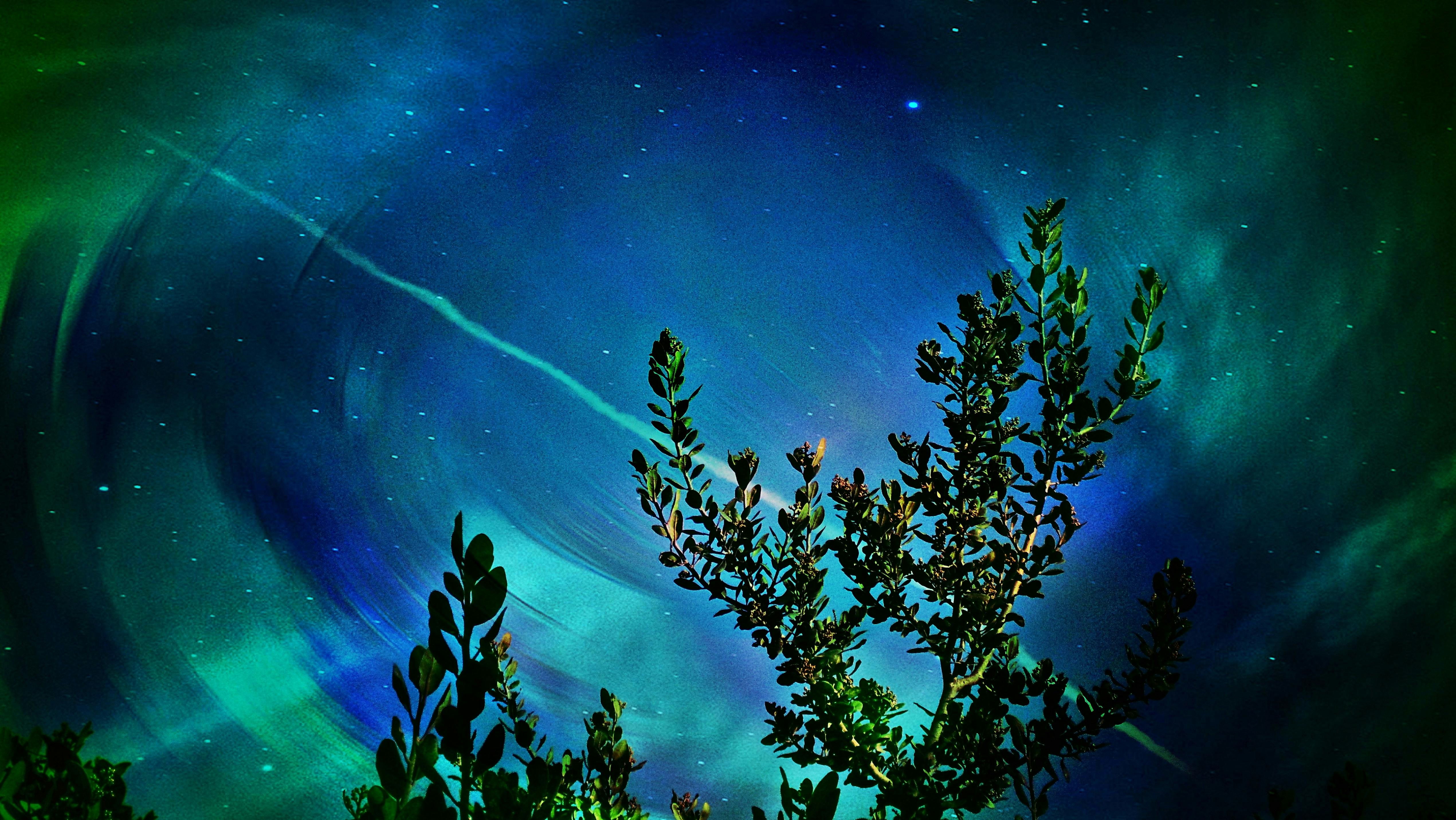 Free Stock Photo Of Night, Sky, Space