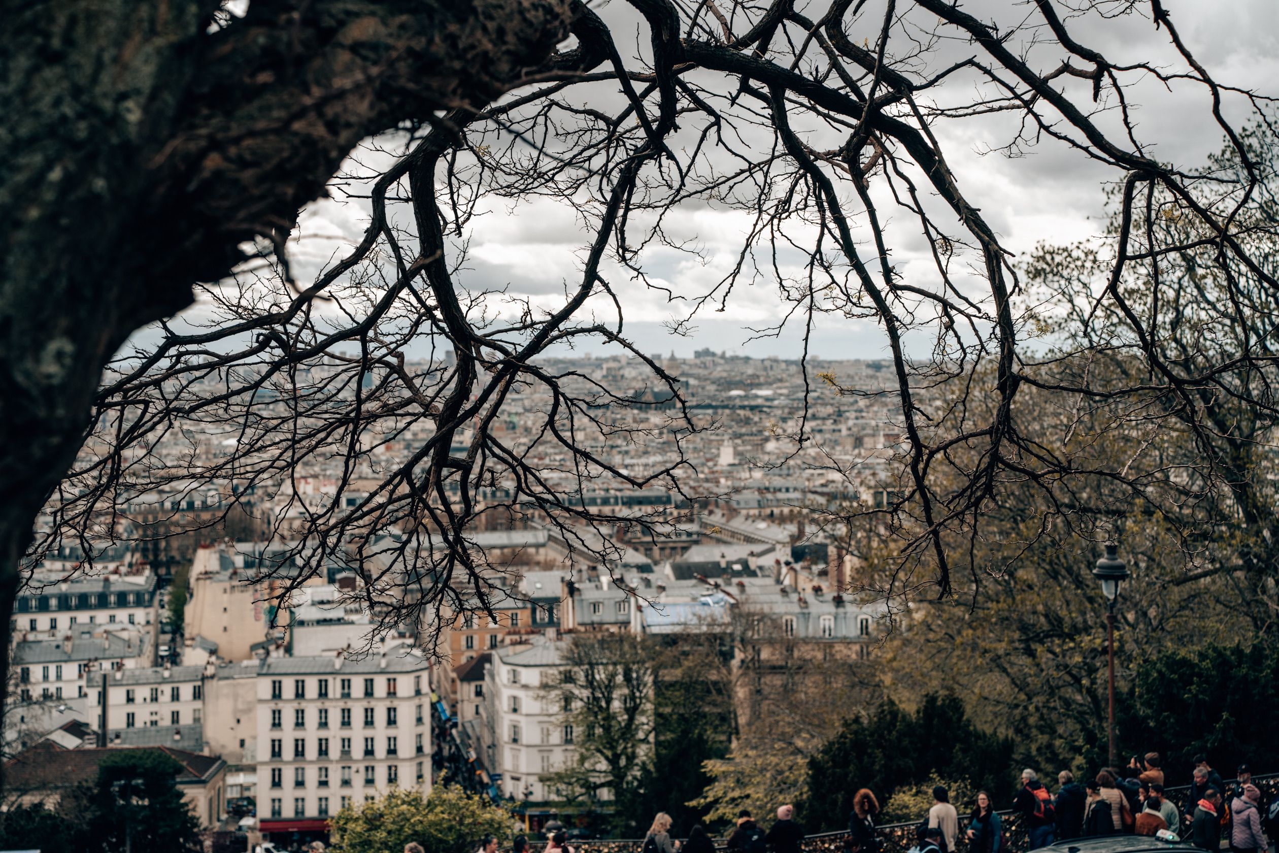 A captivating view over the city of Paris framed by bare tree branches, capturing the essence of urban life.