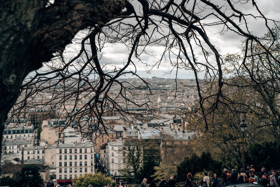 A captivating view over the city of Paris framed by bare tree branches, capturing the essence of urban life.