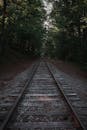 A railroad track in the woods with trees