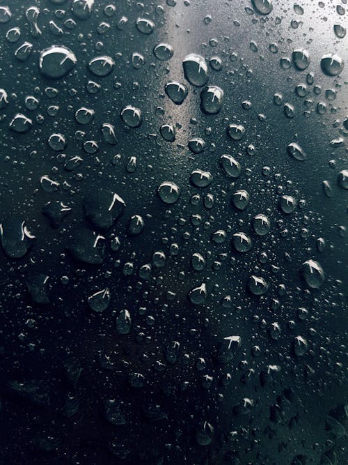 Kostnadsfria Kostnadsfri bild av regn, regndroppar, våt Stock foto