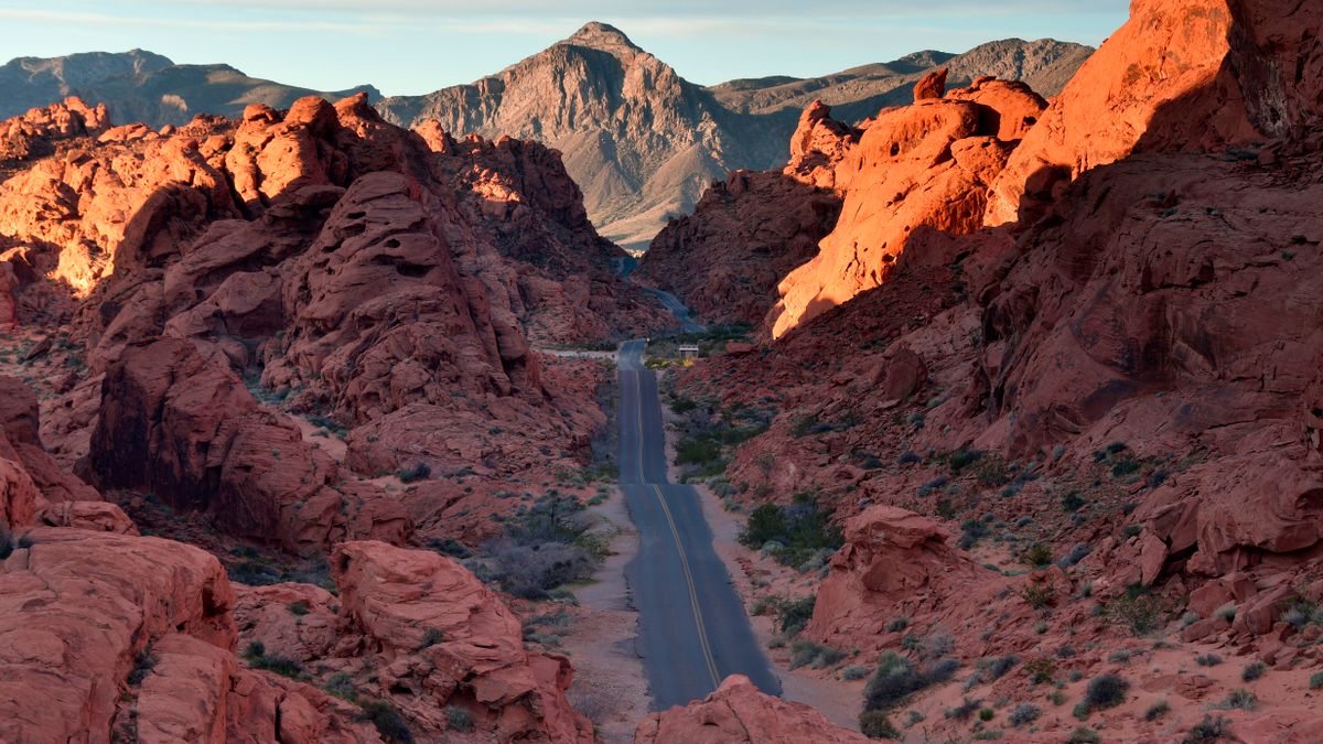 How to Enter Holiday Giveaways in Henderson, Nevada Without Scams