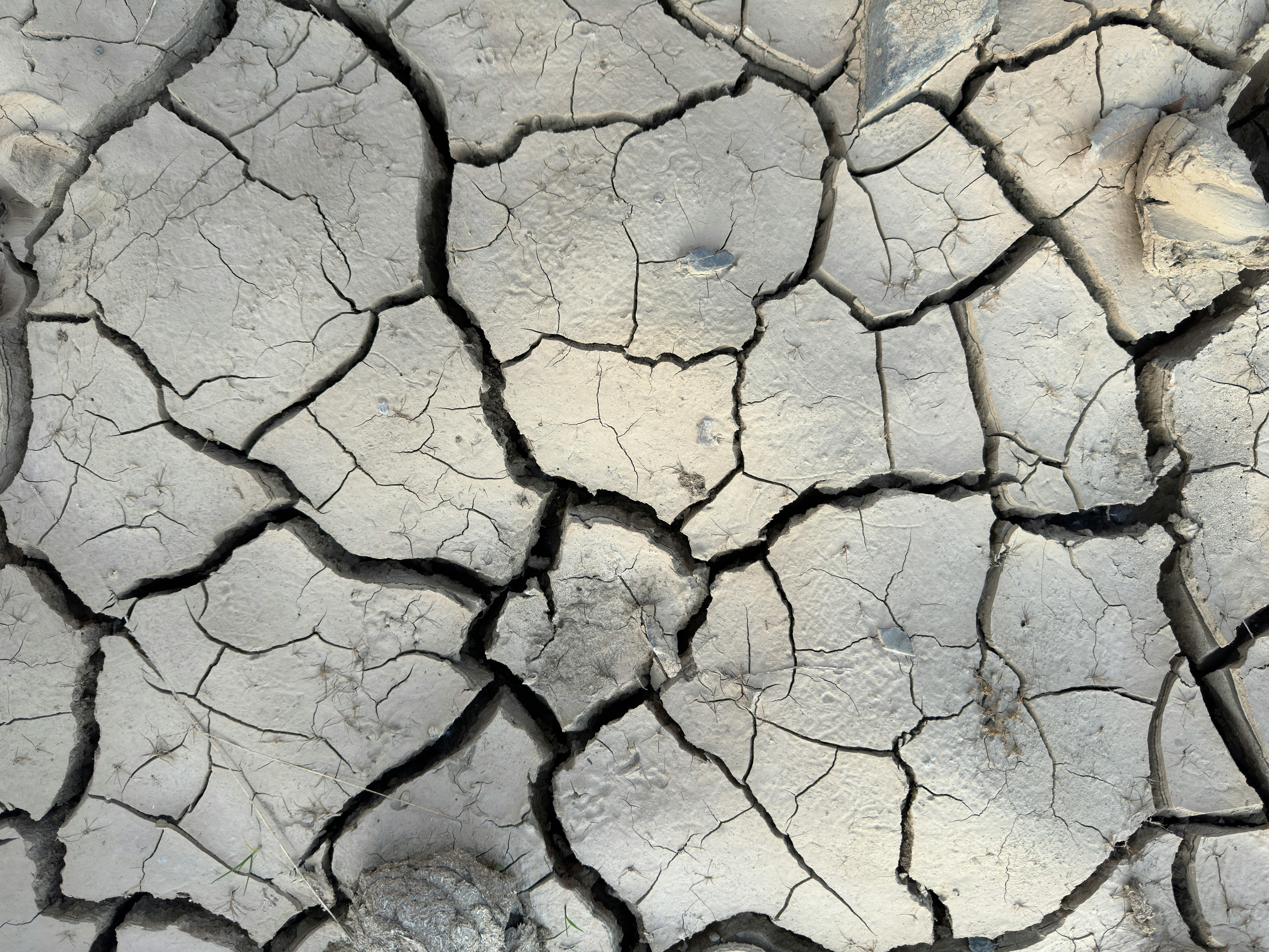 Image for Senate Democrats Propose Resolutions to Address Climate Change