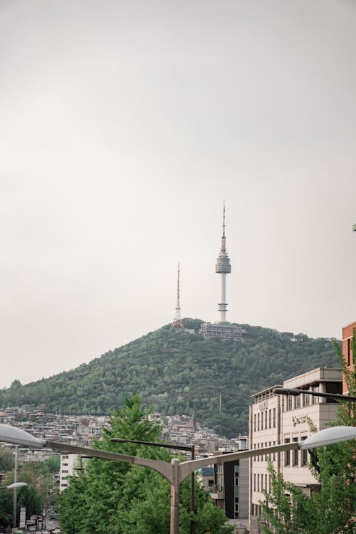 Free stock photo of seoul tower