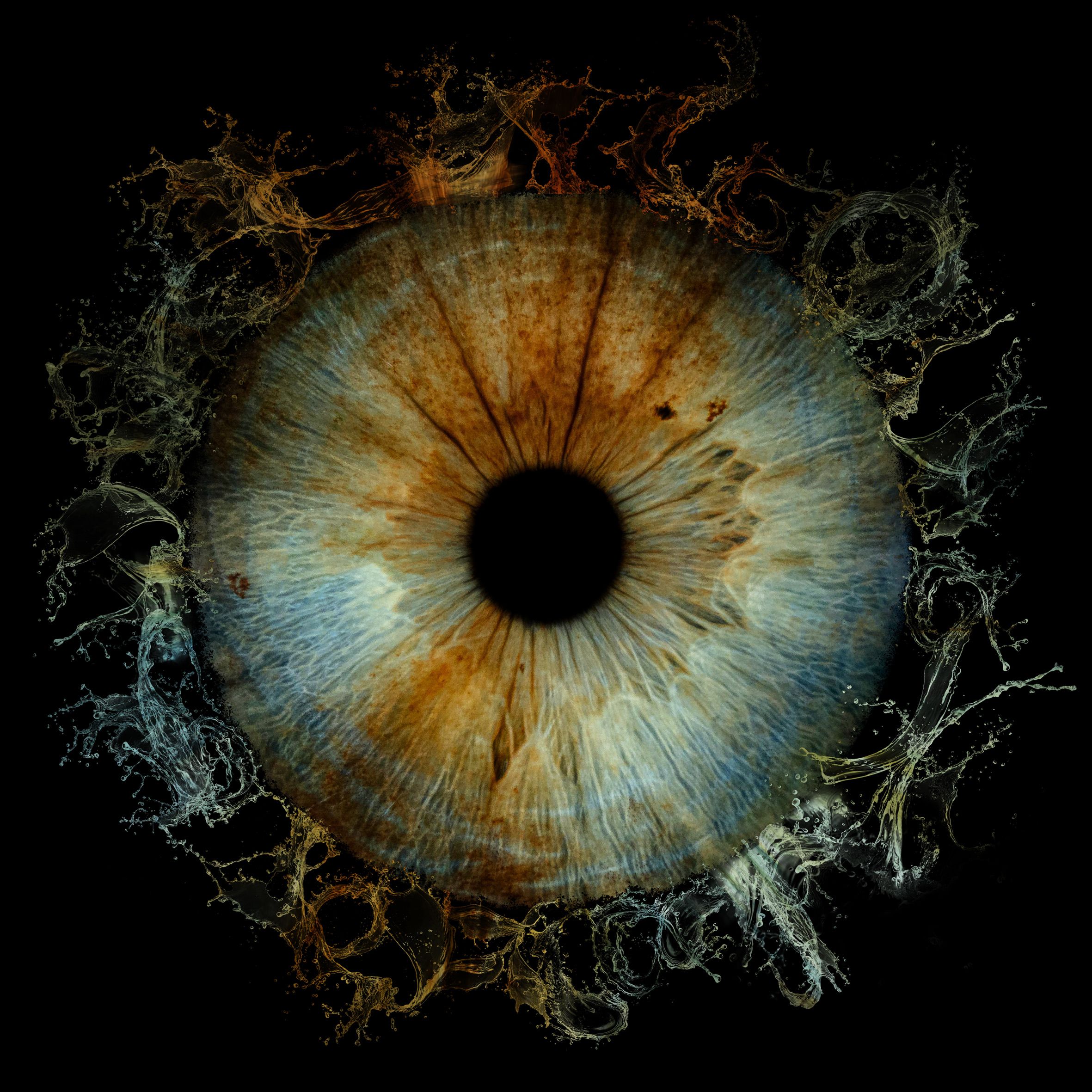 Scientific Picture of the Human Eye
